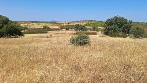 Terreno para Venda em Alcoutim e Pereiro