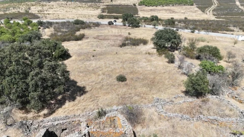 Terreno para Venda em Alcoutim e Pereiro