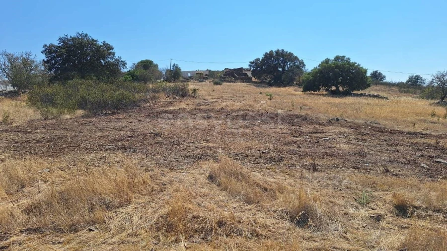Terreno para Venda em Alcoutim e Pereiro Foto 3