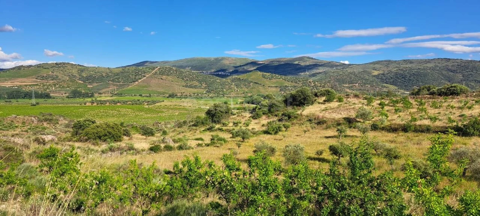 Terreno para Venda em Cabeça Boa Foto 1