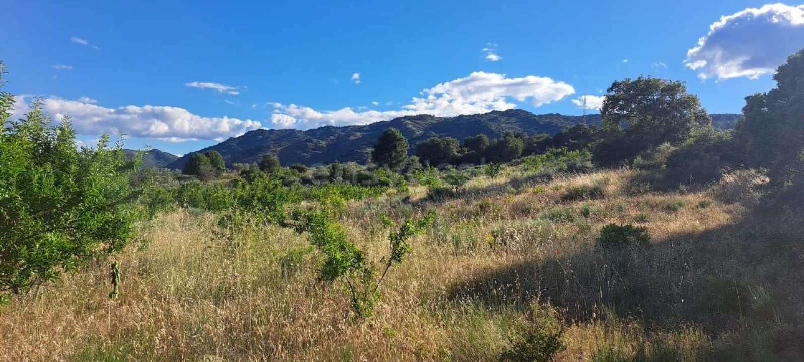 Terreno para Venda em Cabeça Boa Foto 5