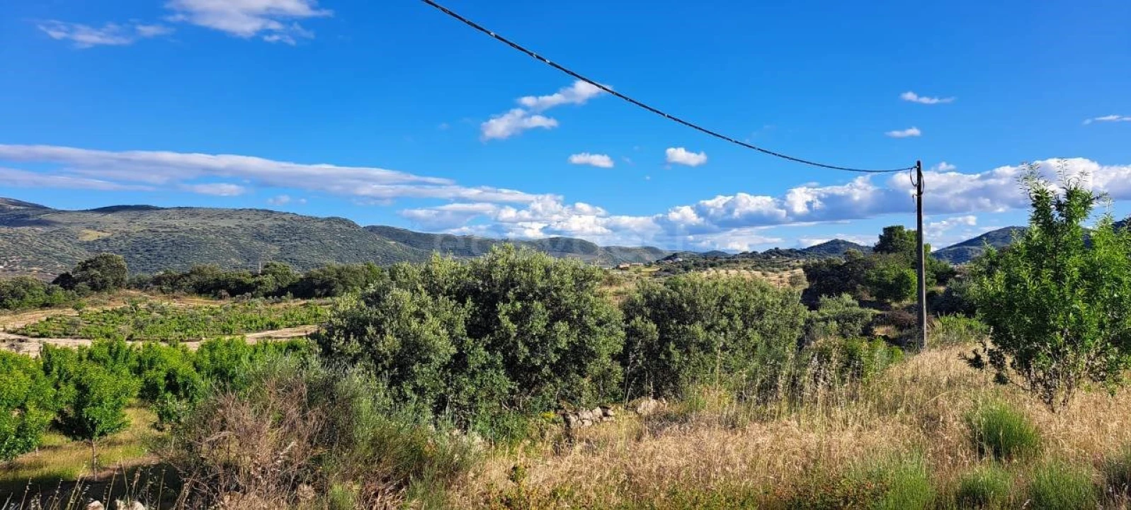 Terreno para Venda em Cabeça Boa Foto 6