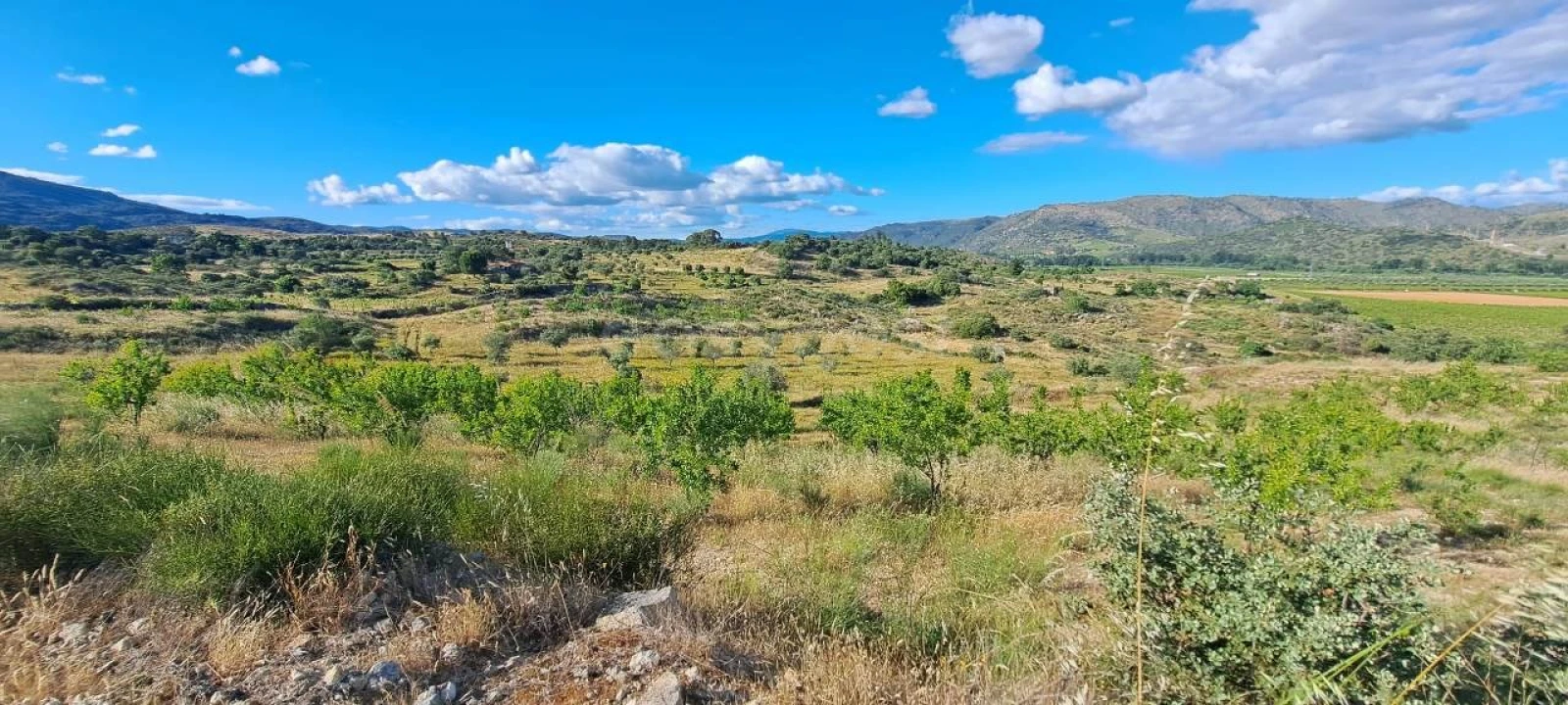 Terreno para Venda em Cabeça Boa Foto 7