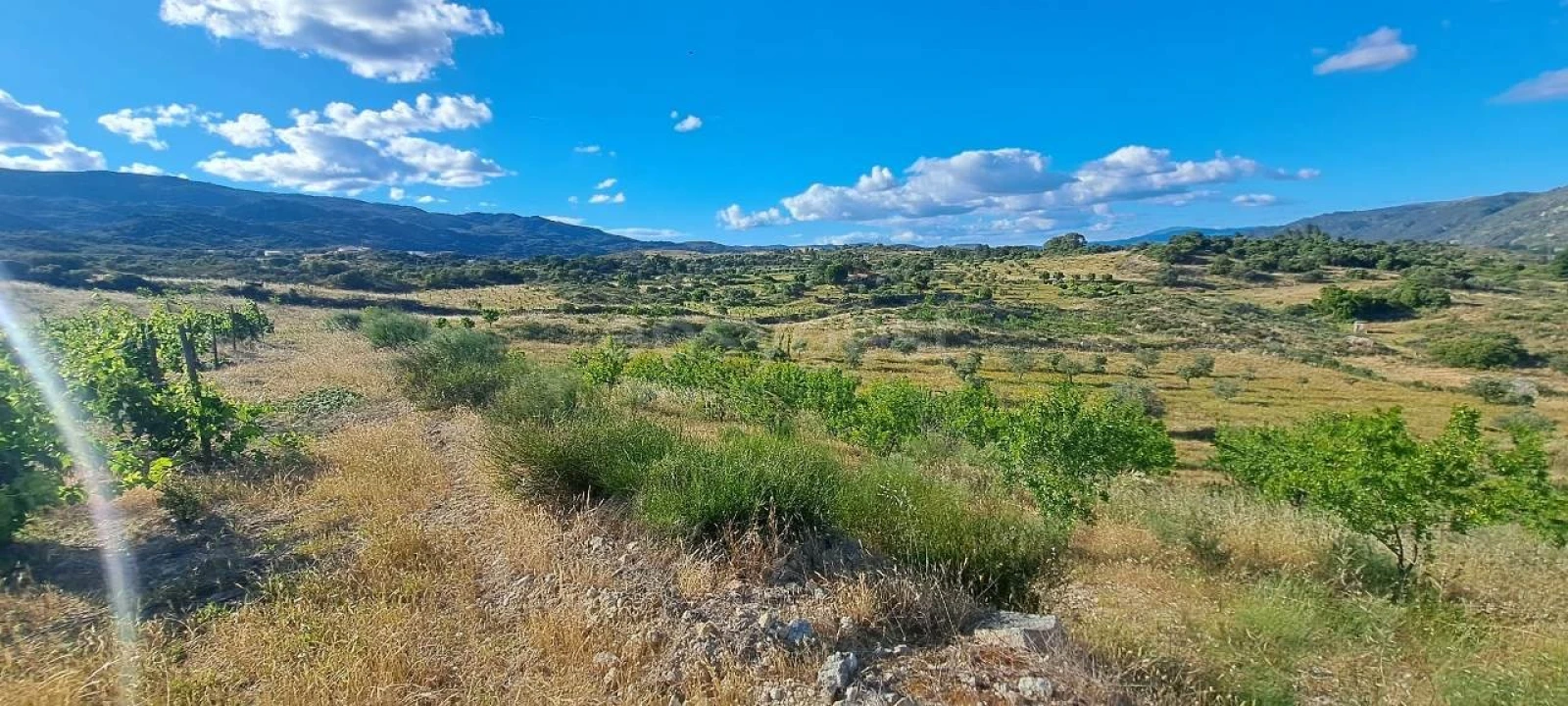 Terreno para Venda em Cabeça Boa Foto 8