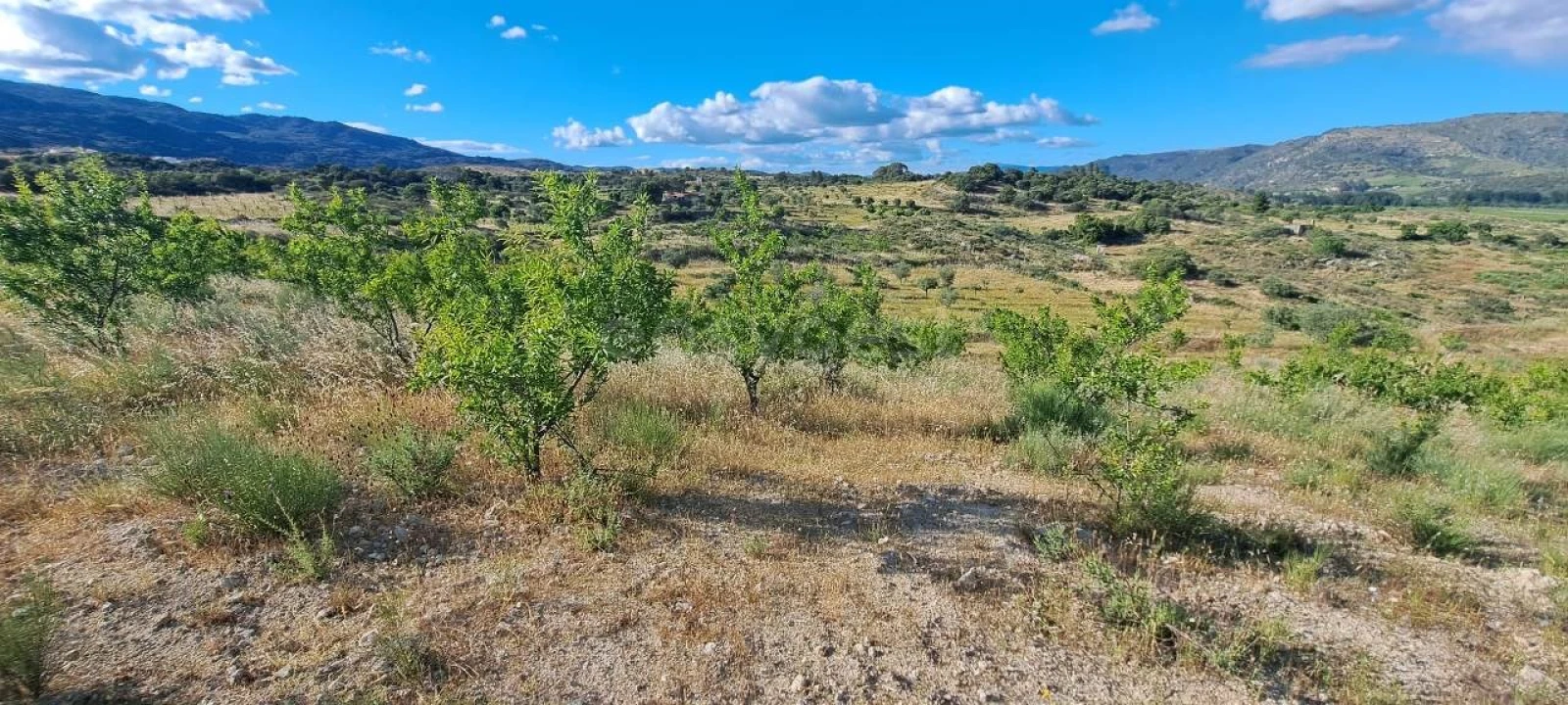 Terreno para Venda em Cabeça Boa Foto 12