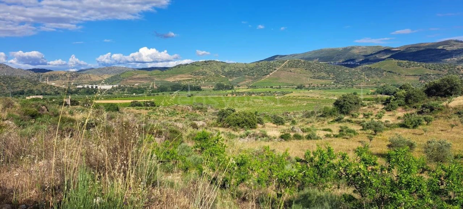 Terreno para Venda em Cabeça Boa Foto 16