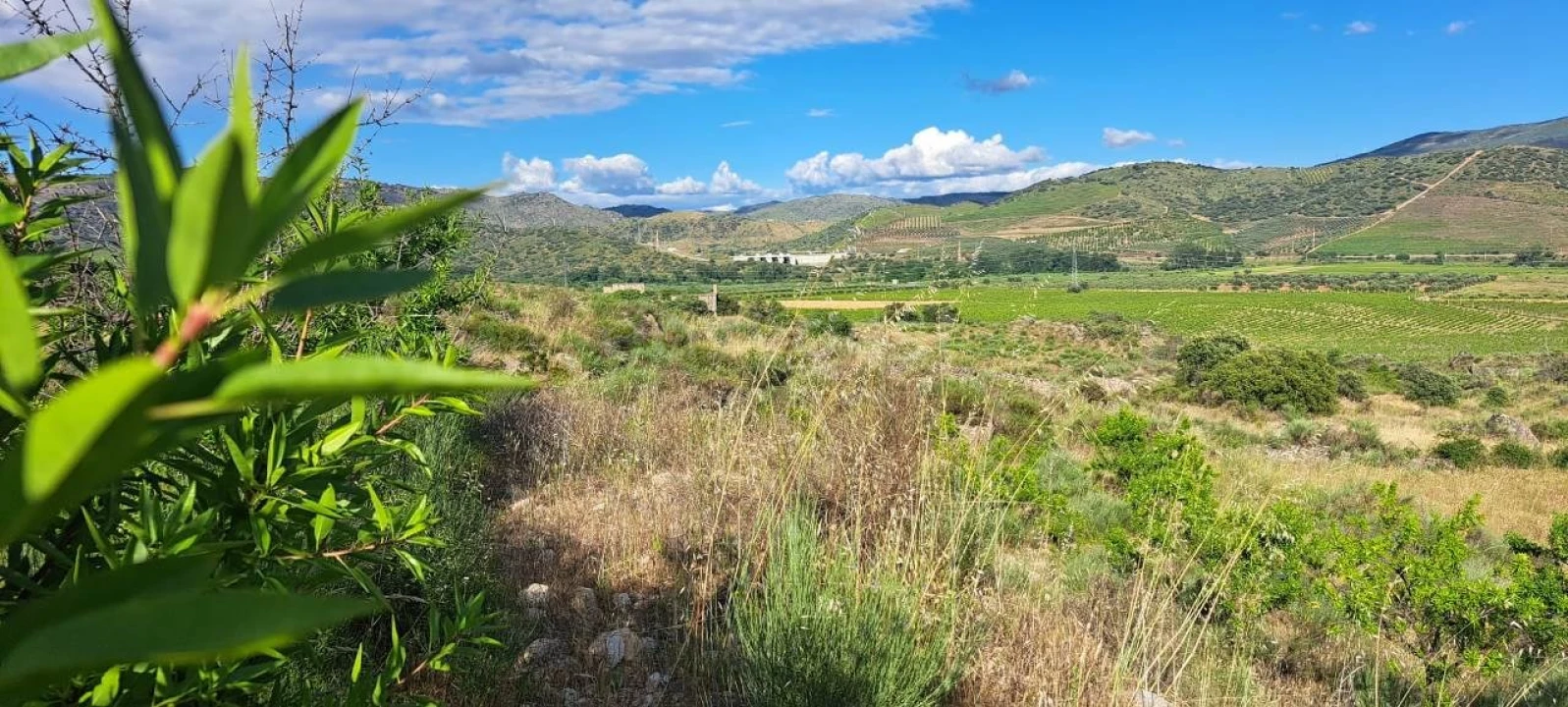 Terreno para Venda em Cabeça Boa Foto 19