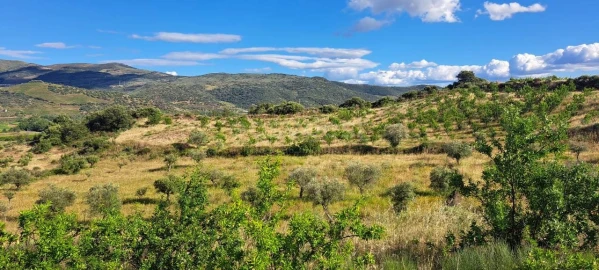 Terreno para Venda em Cabeça Boa