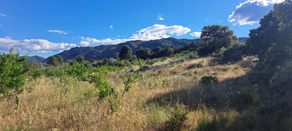 Terreno para Venda em Cabeça Boa