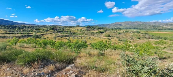 Terreno para Venda em Cabeça Boa
