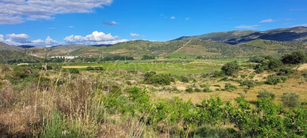 Terreno para Venda em Cabeça Boa