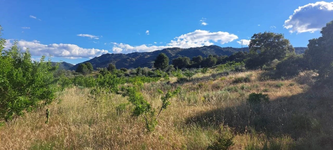 Terreno para Venda em Cabeça Boa Foto 5
