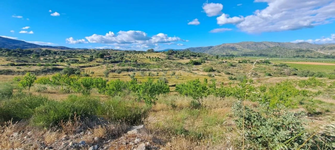 Terreno para Venda em Cabeça Boa Foto 7