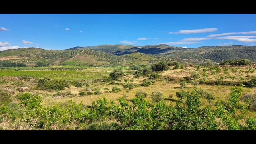 Terreno para Venda em Cabeça Boa