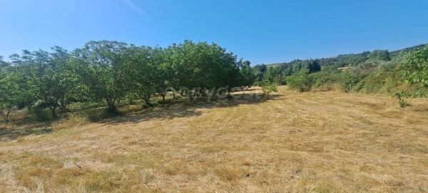 Terreno para Venda em Carviçais