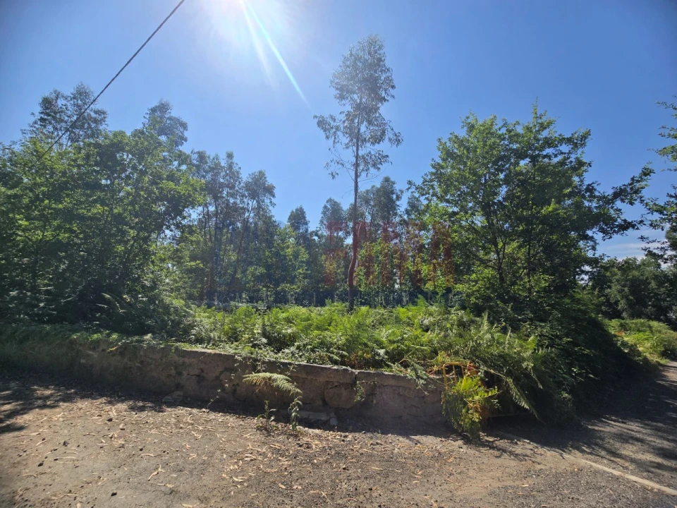 Terreno para Venda em Carreira e Bente Foto 2