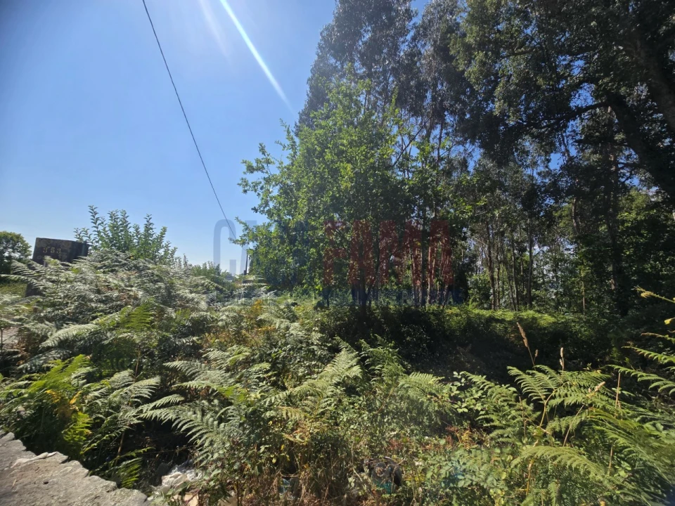 Terreno para Venda em Carreira e Bente Foto 3