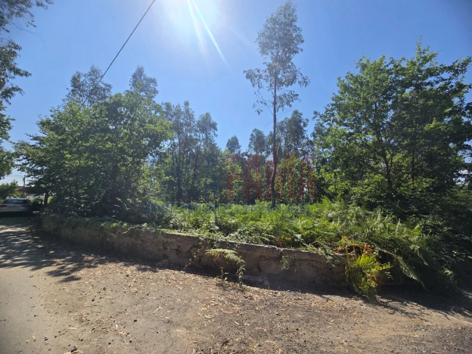 Terreno para Venda em Carreira e Bente Foto 5