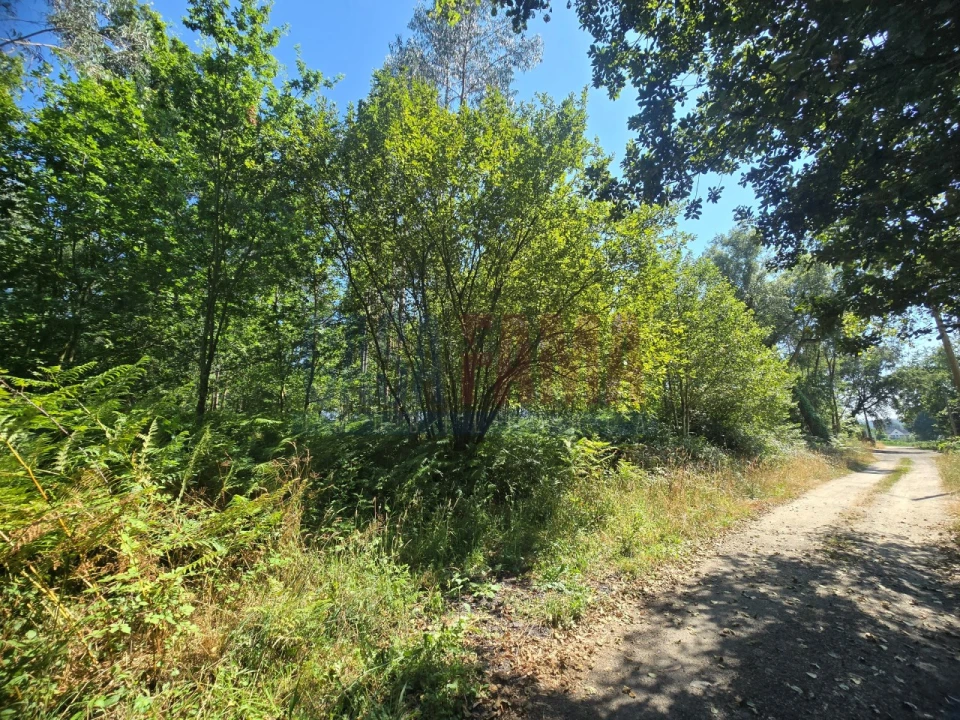 Terreno para Venda em Carreira e Bente Foto 7