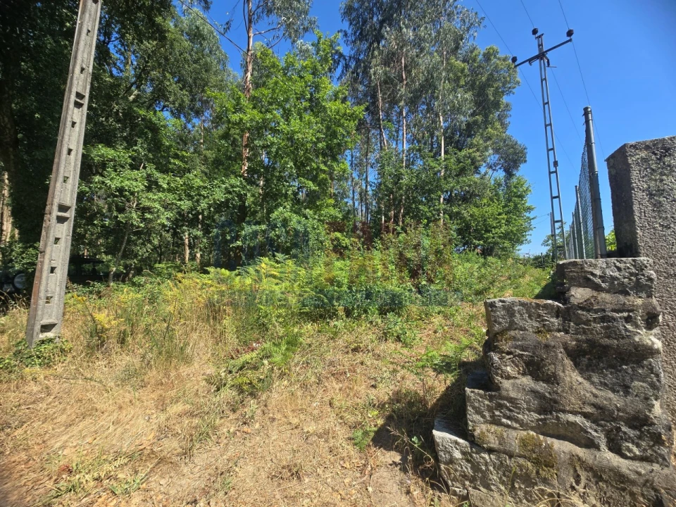 Terreno para Venda em Carreira e Bente Foto 8