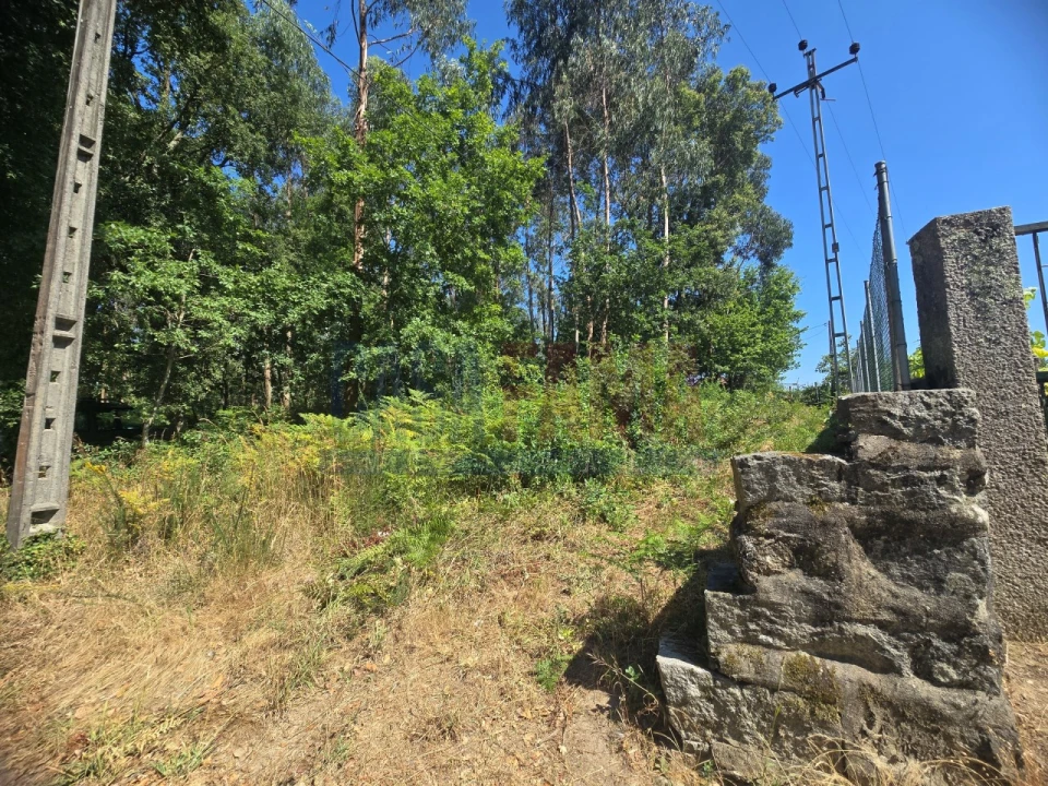 Terreno para Venda em Carreira e Bente Foto 9