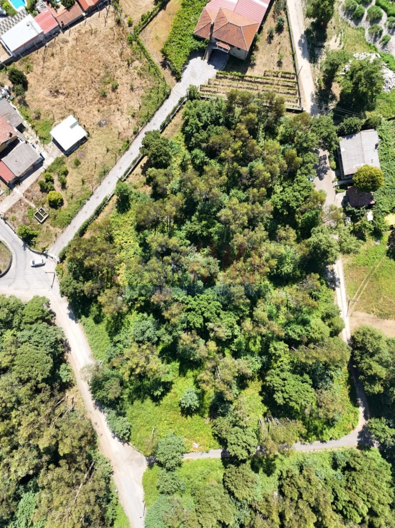 Terreno para Venda em Carreira e Bente Foto 1