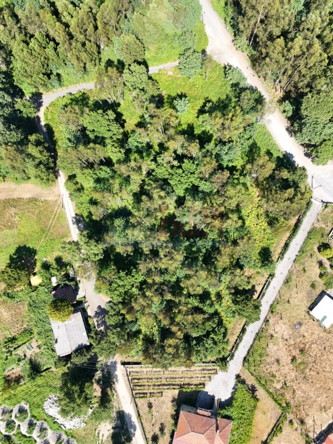 Terreno para Venda em Carreira e Bente Foto 18
