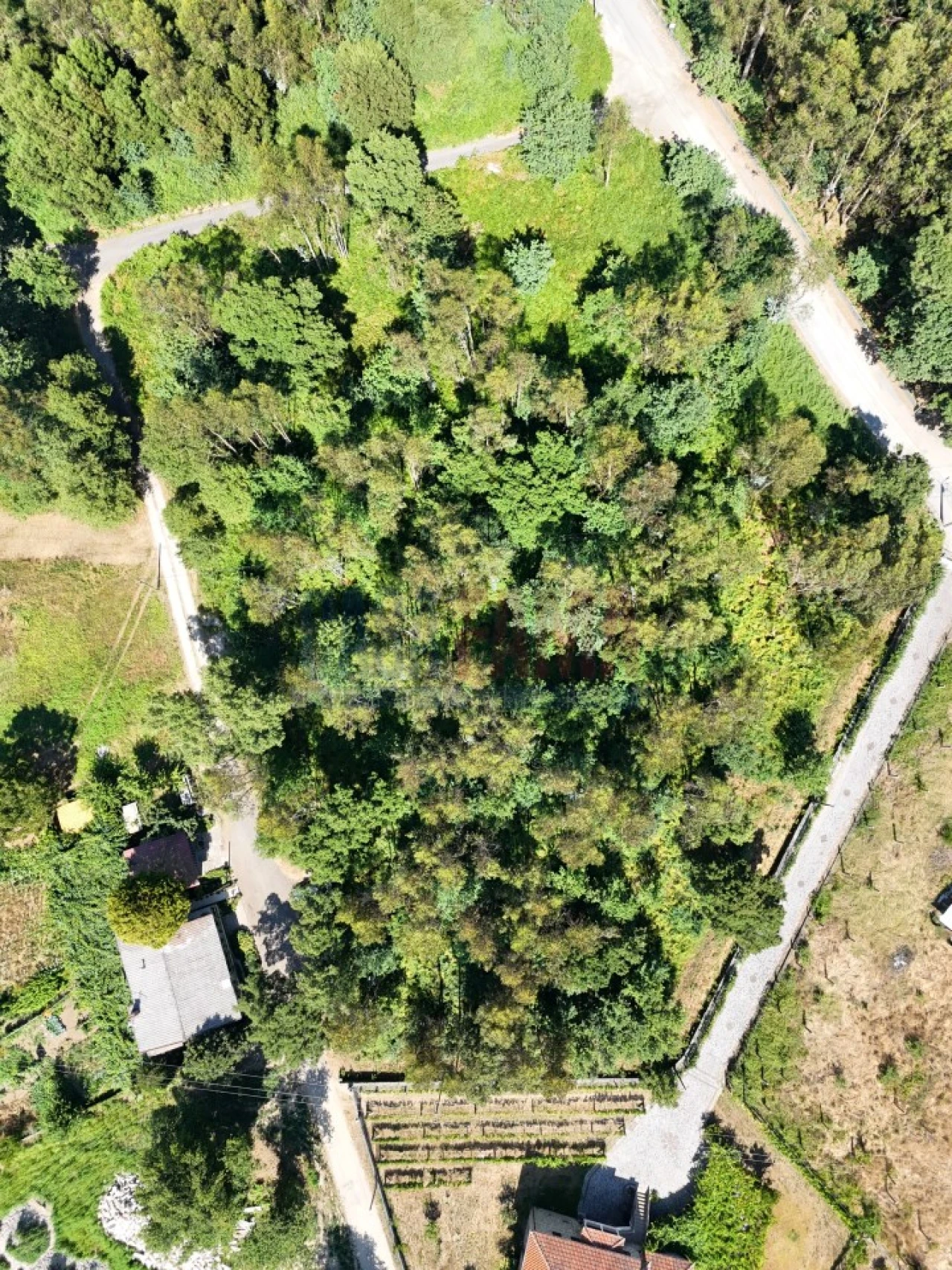 Terreno para Venda em Carreira e Bente Foto 19
