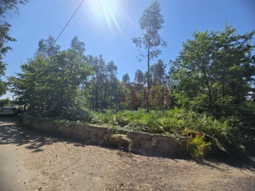 Terreno para Venda em Carreira e Bente