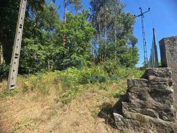 Terreno para Venda em Carreira e Bente