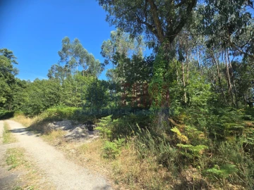 Terreno para Venda em Carreira e Bente