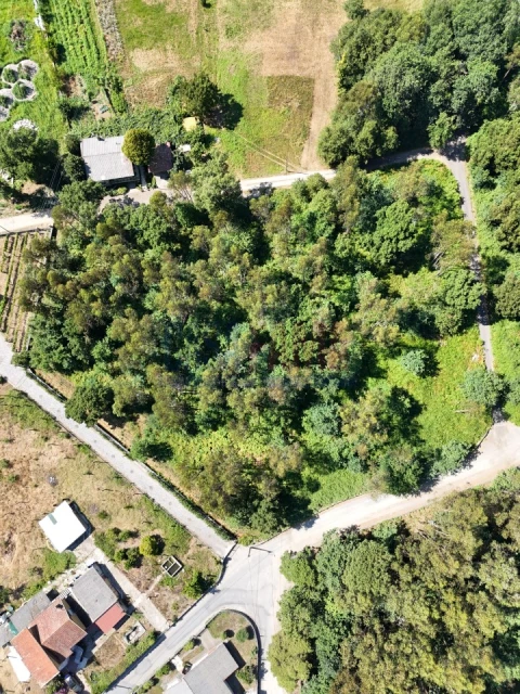 Terreno para Venda em Carreira e Bente