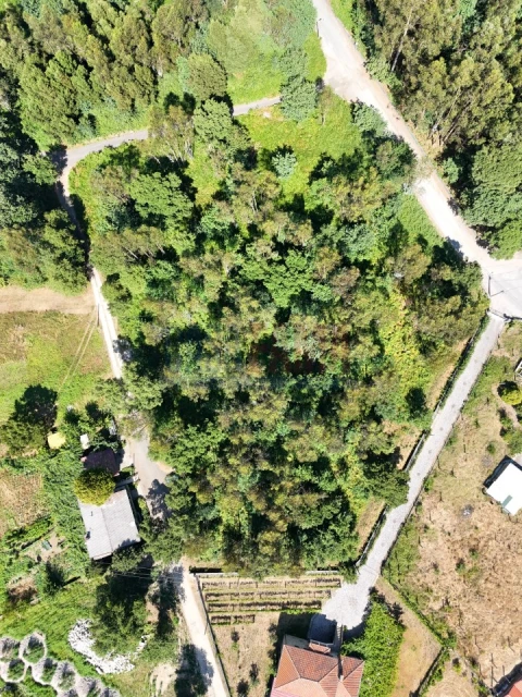 Terreno para Venda em Carreira e Bente