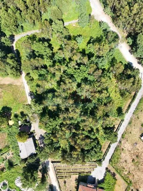 Terreno para Venda em Carreira e Bente