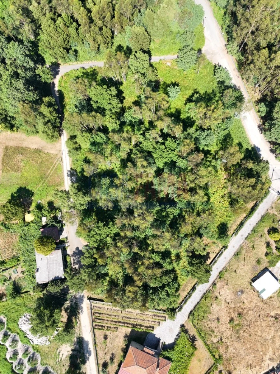Terreno para Venda em Carreira e Bente Foto 17