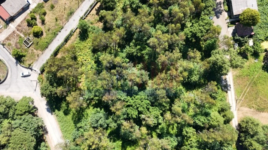 Terreno para Venda em Carreira e Bente