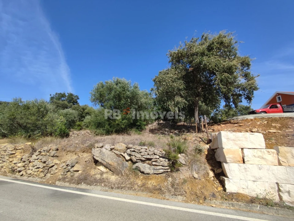 Terreno Agricola ou Rústico para Venda em Além da Ribeira e Pedreira Foto 3