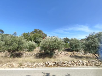 Terreno Agricola ou Rústico para Venda em Além da Ribeira e Pedreira