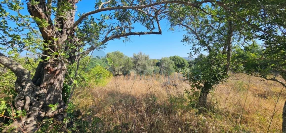 Terreno Agricola ou Rústico para Venda em São Bartolomeu de Messines