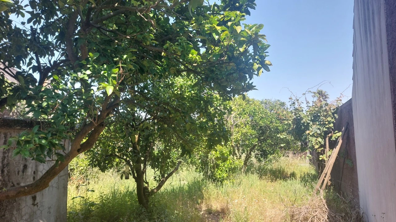 Moradia T3 para Arrendamento em Coimbrão Foto 22