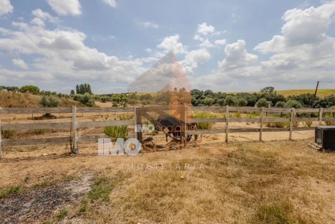 Moradia T3 para Venda em Achete, Azoia de Baixo e Póvoa de Santarém Foto 44