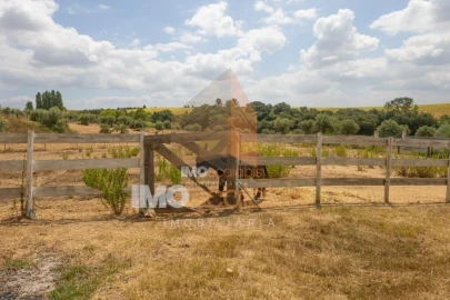 Moradia T3 para Venda em Achete, Azoia de Baixo e Póvoa de Santarém