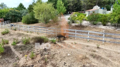 Moradia T3 para Venda em Achete, Azoia de Baixo e Póvoa de Santarém