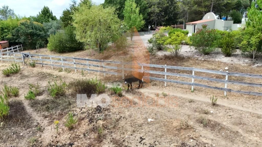 Moradia T3 para Venda em Achete, Azoia de Baixo e Póvoa de Santarém Foto 52