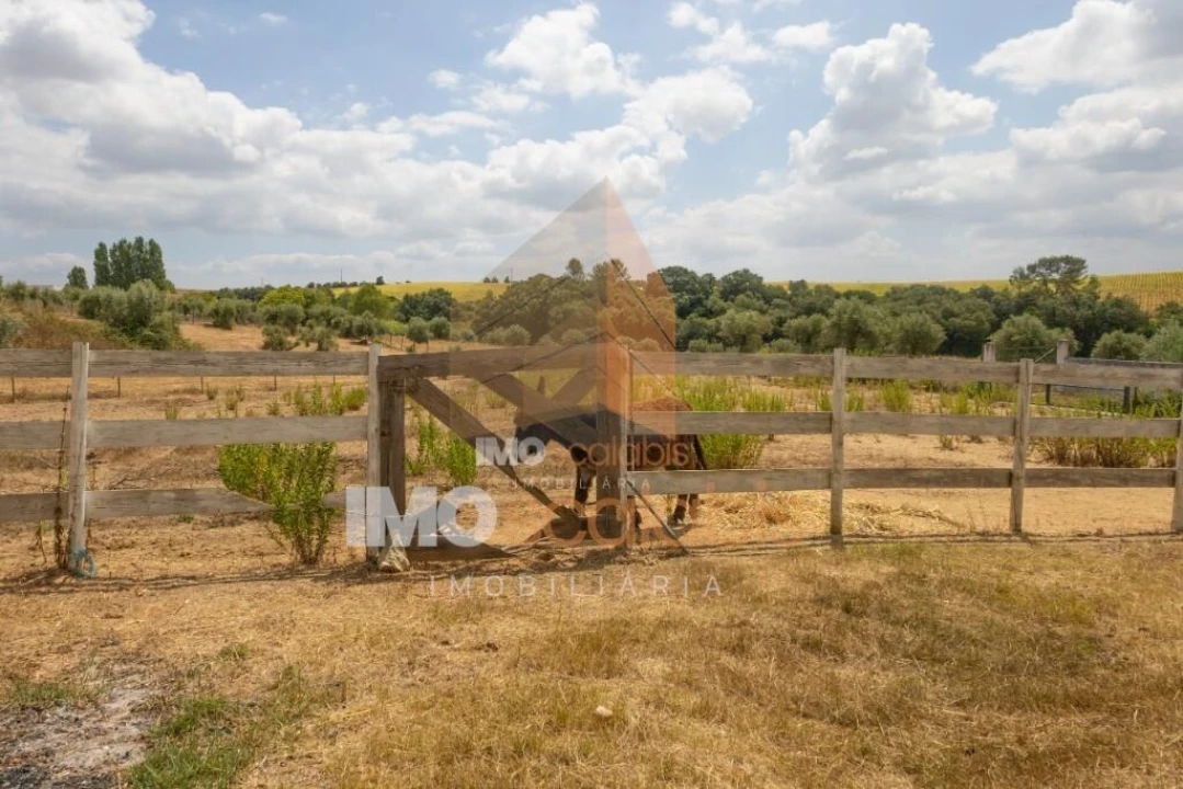 Moradia T3 para Venda em Achete, Azoia de Baixo e Póvoa de Santarém Foto 45
