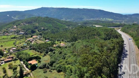Quinta T4 para Venda em Riba de Ancora