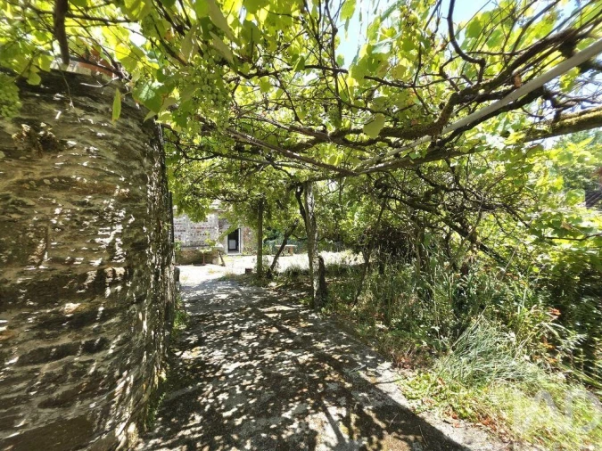 Quinta T4 para Venda em Riba de Ancora Foto 31