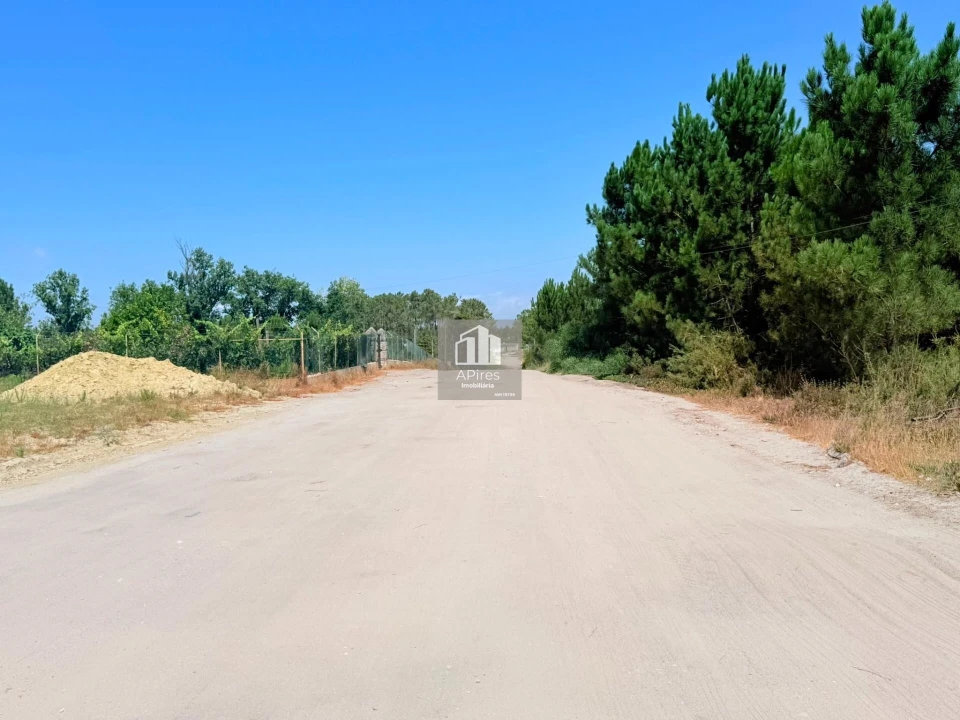 Terreno para Venda em Fernao Ferro Foto 20