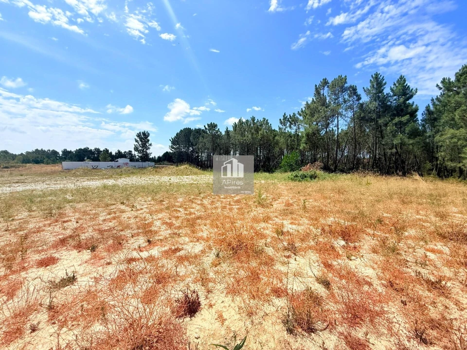 Terreno para Venda em Fernao Ferro Foto 18