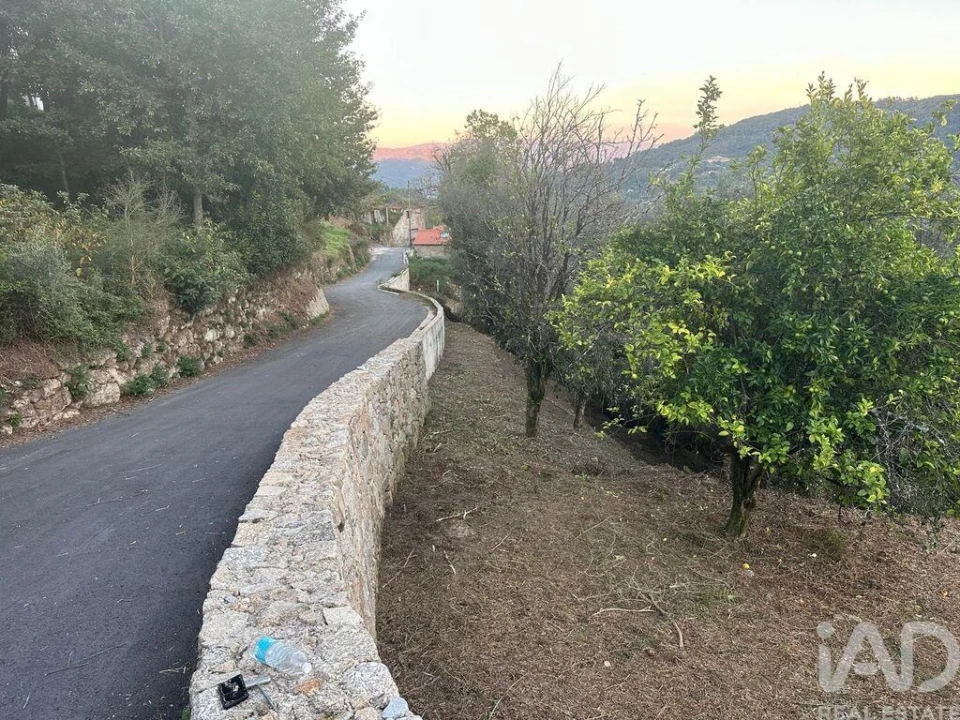 Terreno para Venda em Rio Frio Foto 9